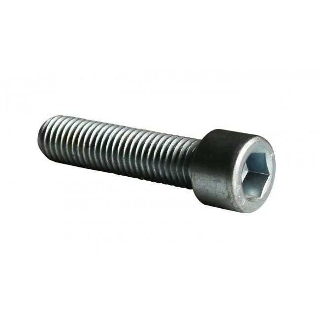 deal-marine-2293160