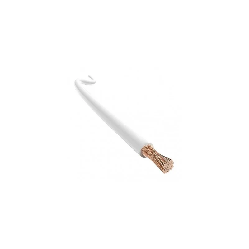 deal-marine-2297512