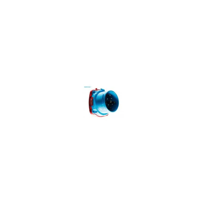 deal-marine-2297763