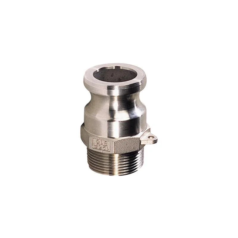 deal-marine-2303967