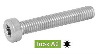 mpi-inox-2290222