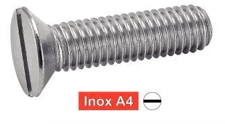 mpi-inox-2291778