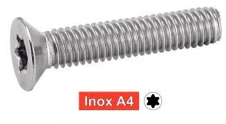 mpi-inox-2291979