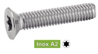 mpi-inox-2291981