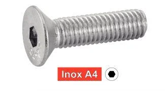 mpi-inox-2291989