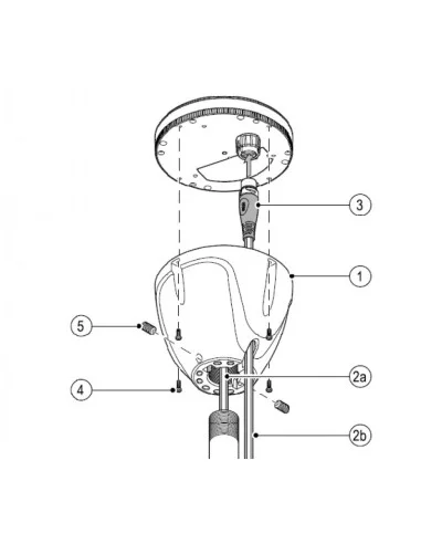 seaelec-2296912