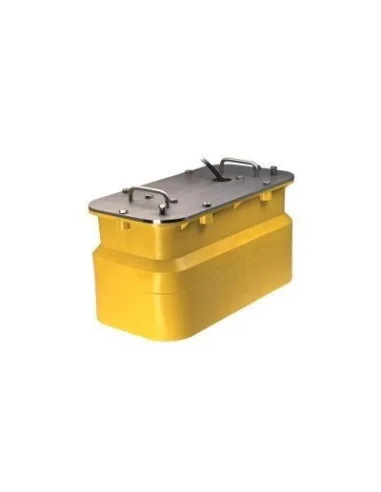 seaelec-2297302