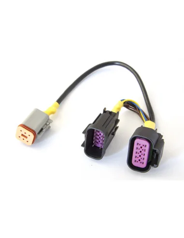 seaelec-2298704