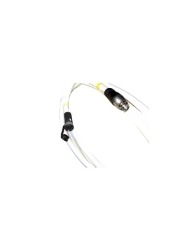 seaelec-2299388