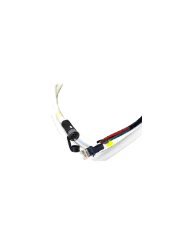seaelec-2299413