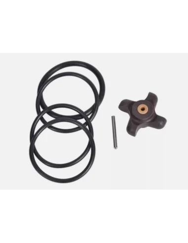 seaelec-2299738
