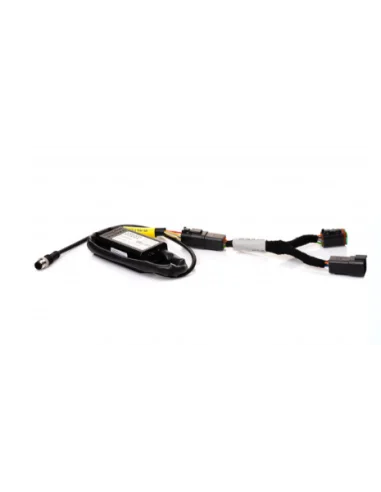 seaelec-2300427
