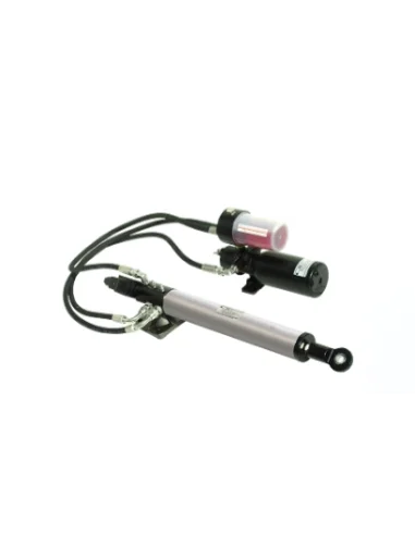 seaelec-2300527