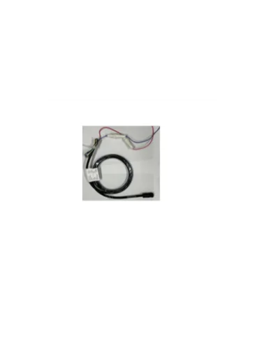 seaelec-2300577