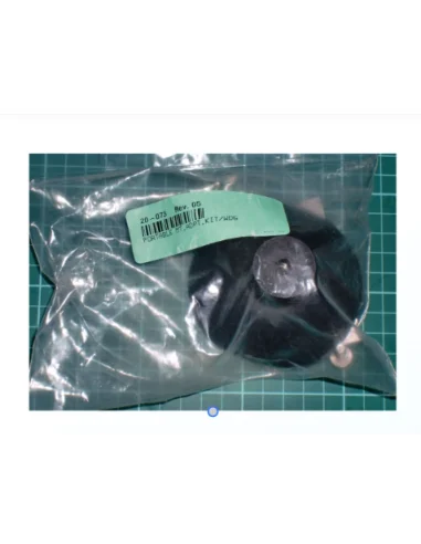 seaelec-2300795