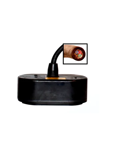 seaelec-2300841