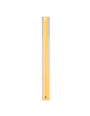 seaelec-2302190