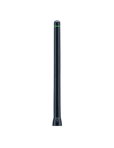seaelec-2302192