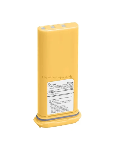 seaelec-2302265
