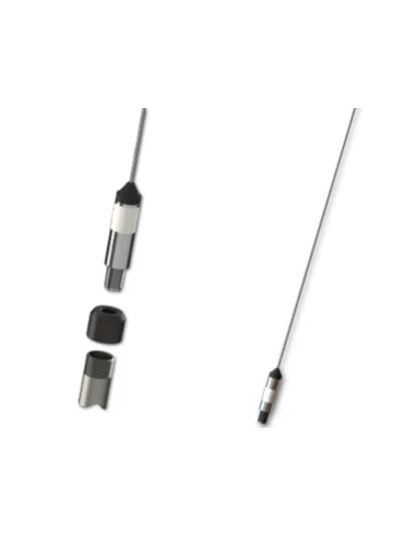 seaelec-2302340