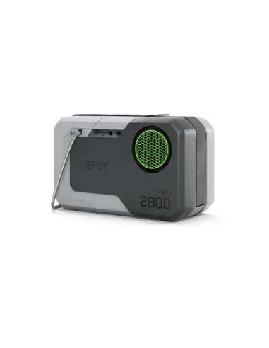 seaelec-2302422