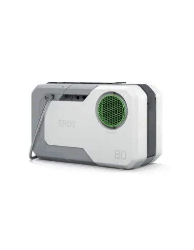 seaelec-2302446